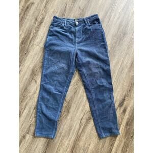 Urban Outfitters BDG Blue Mom High Rise Corduroy Pants 29 straight leg 90s y2k